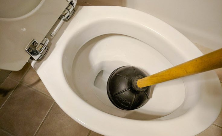 Blocked toilet