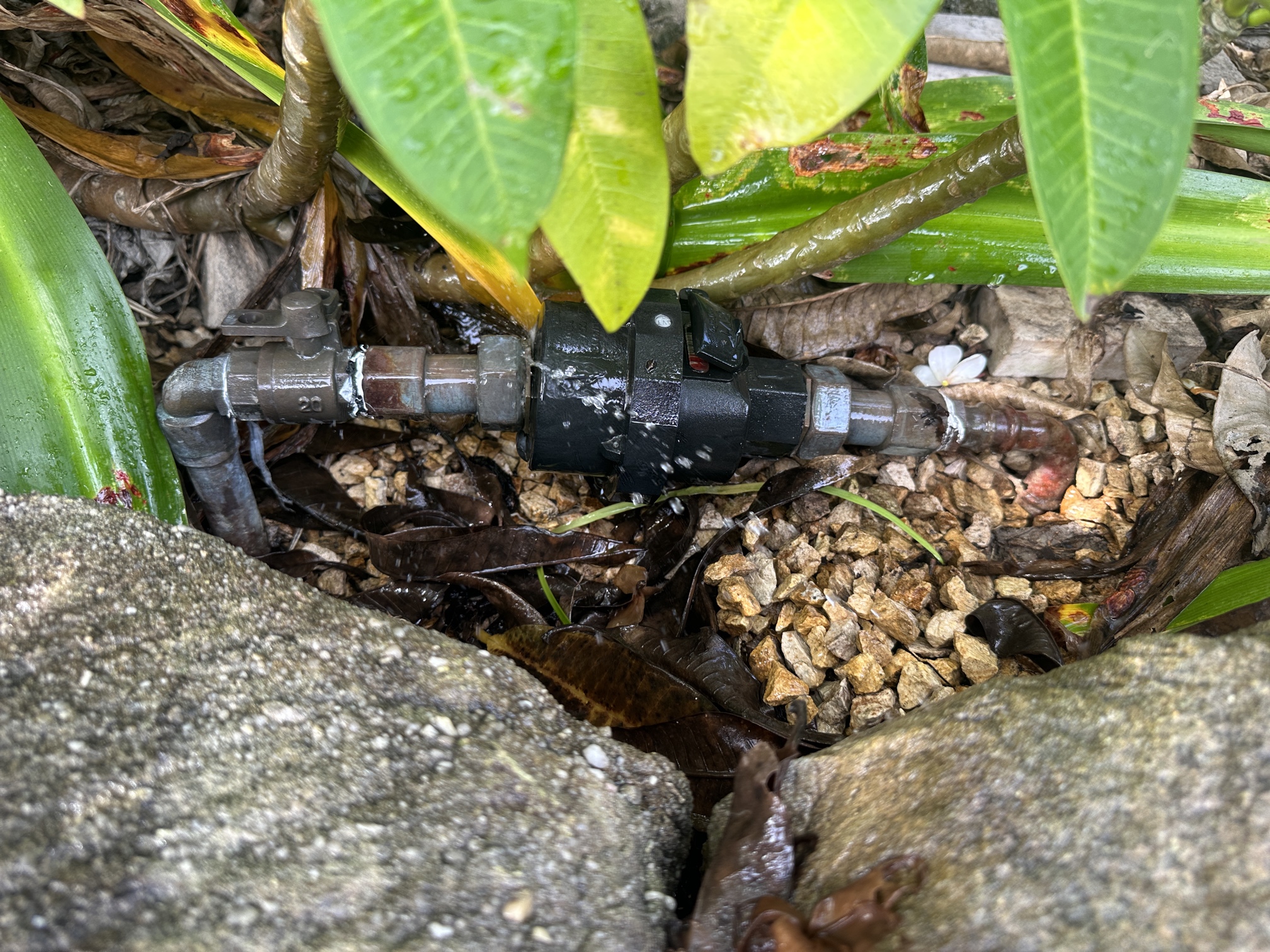 Example of a burst pipe repair service used to prevent water damage in a home.