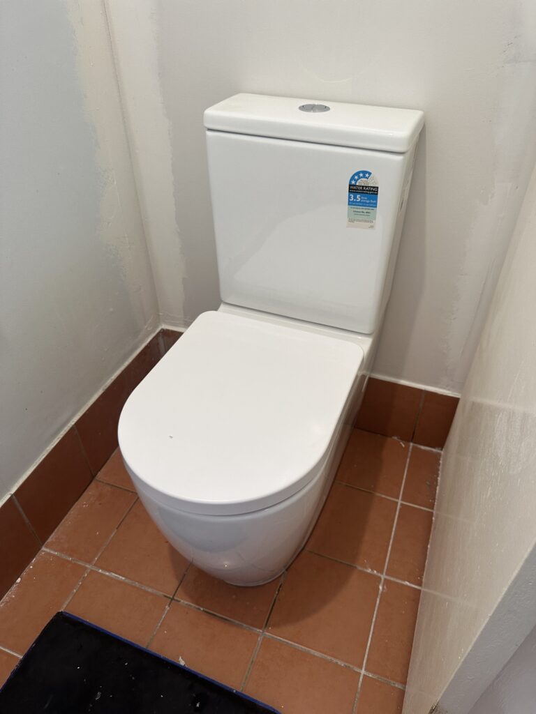A recent toilet repair
