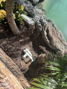 A leak detection job for a pool in Newcastle