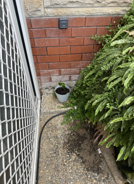 Site cleared after drainage installation