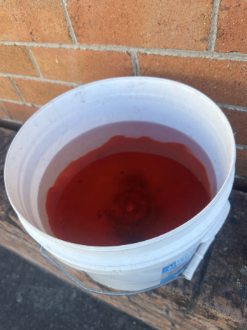 Dye test showing stormwater flow