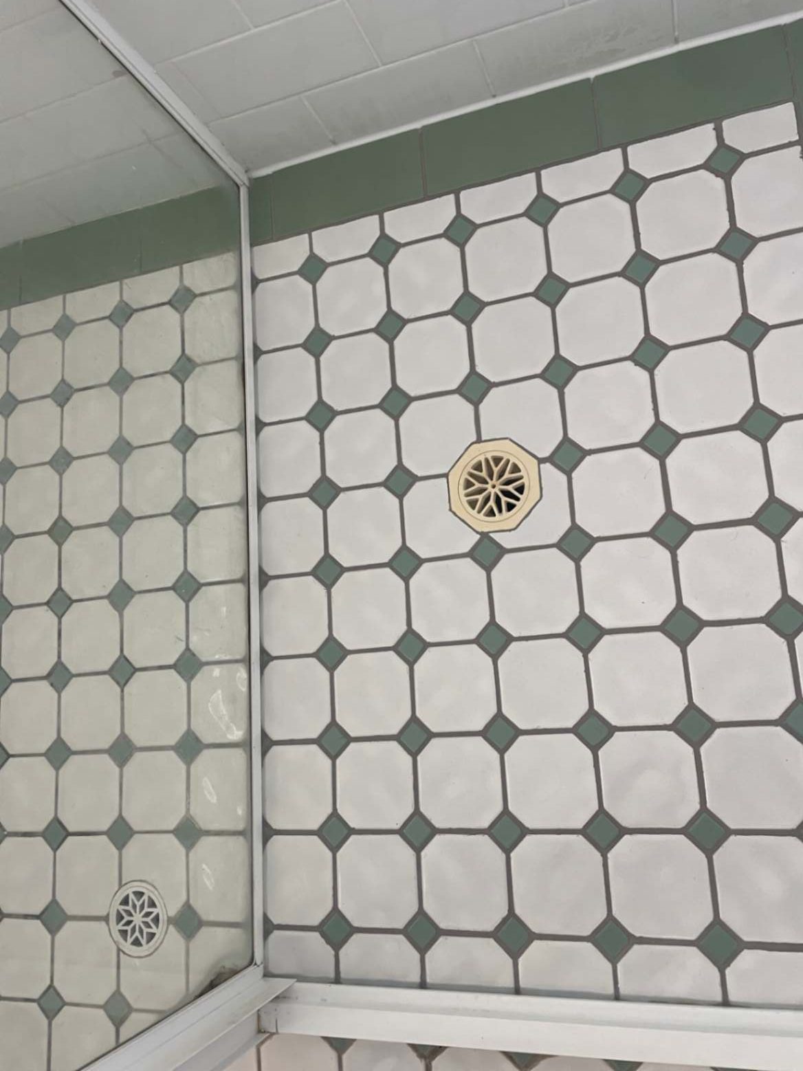 Tiled shower floor with green accents.