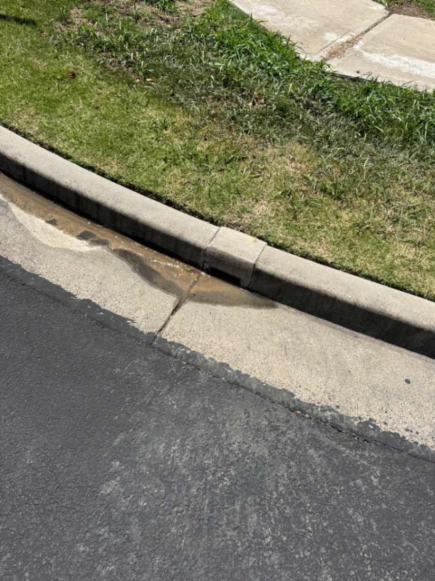 Concrete curb and lawn edge at driveway.