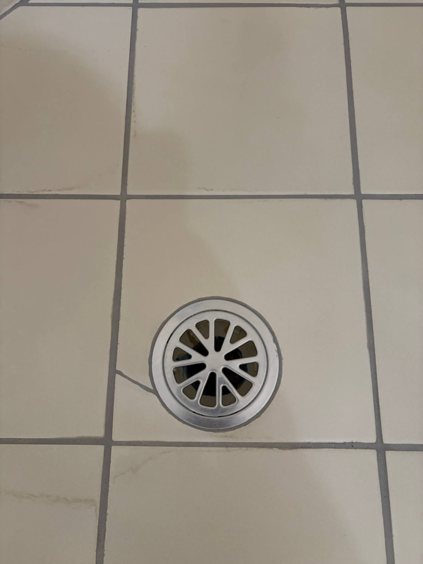 Close-up of shower drain prior to maintenance