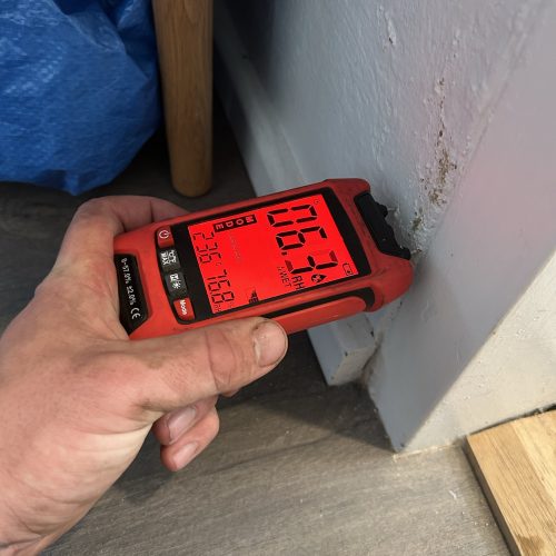 Moisture metre for leak detection